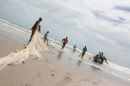 Casamance 50